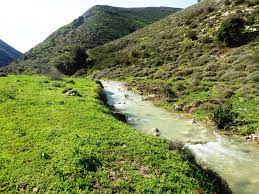 טיפול זוגי בצפון / ייעוץ זוגי בצפון - מרכז רימון - פסיכותרפיסטים ופסיכולוגים מומלצים בצפון