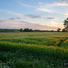 קאוור המרכז הטיפולי בעמק חפר