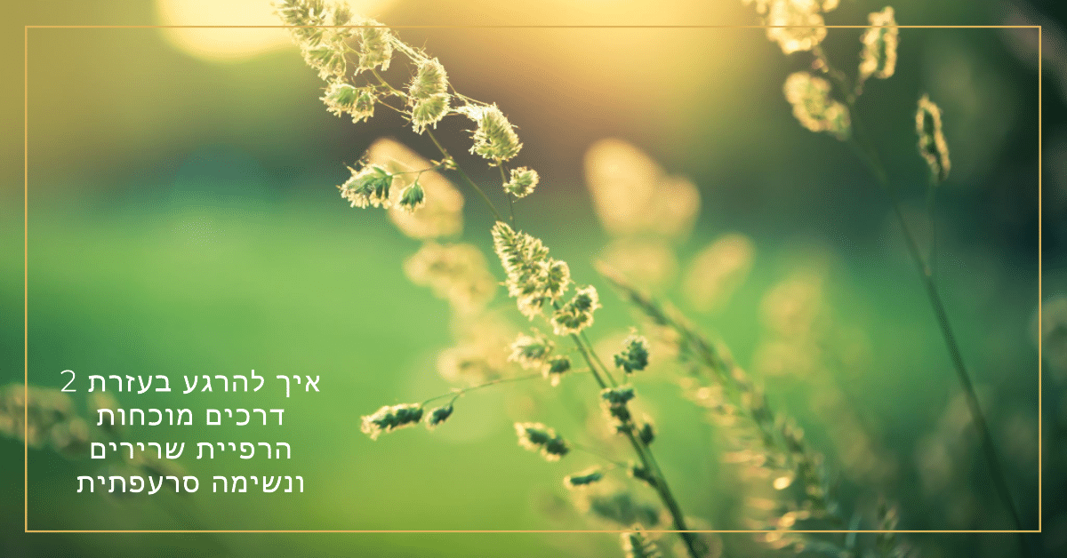 איך להרגע בעזרת 2 דרכים מוכחות הרפיית שרירים ונשימה סרעפתית