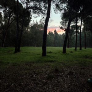 מרכז לטיפול בהתמכרויות